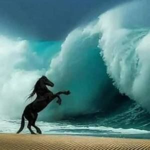 Meet your Posher, Suzette